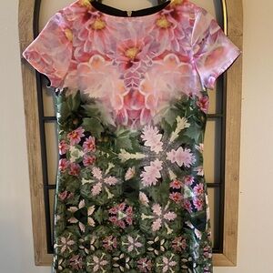 Ted Baker Floral Short Sleeve Shift Mini Eoessa Dress Size XS 0 Pink Green EUC
